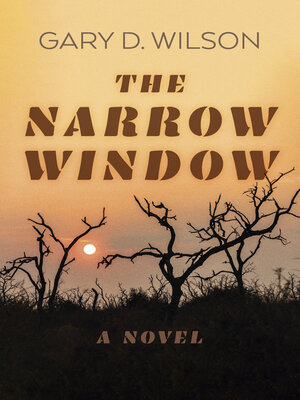 cover image of The Narrow Window